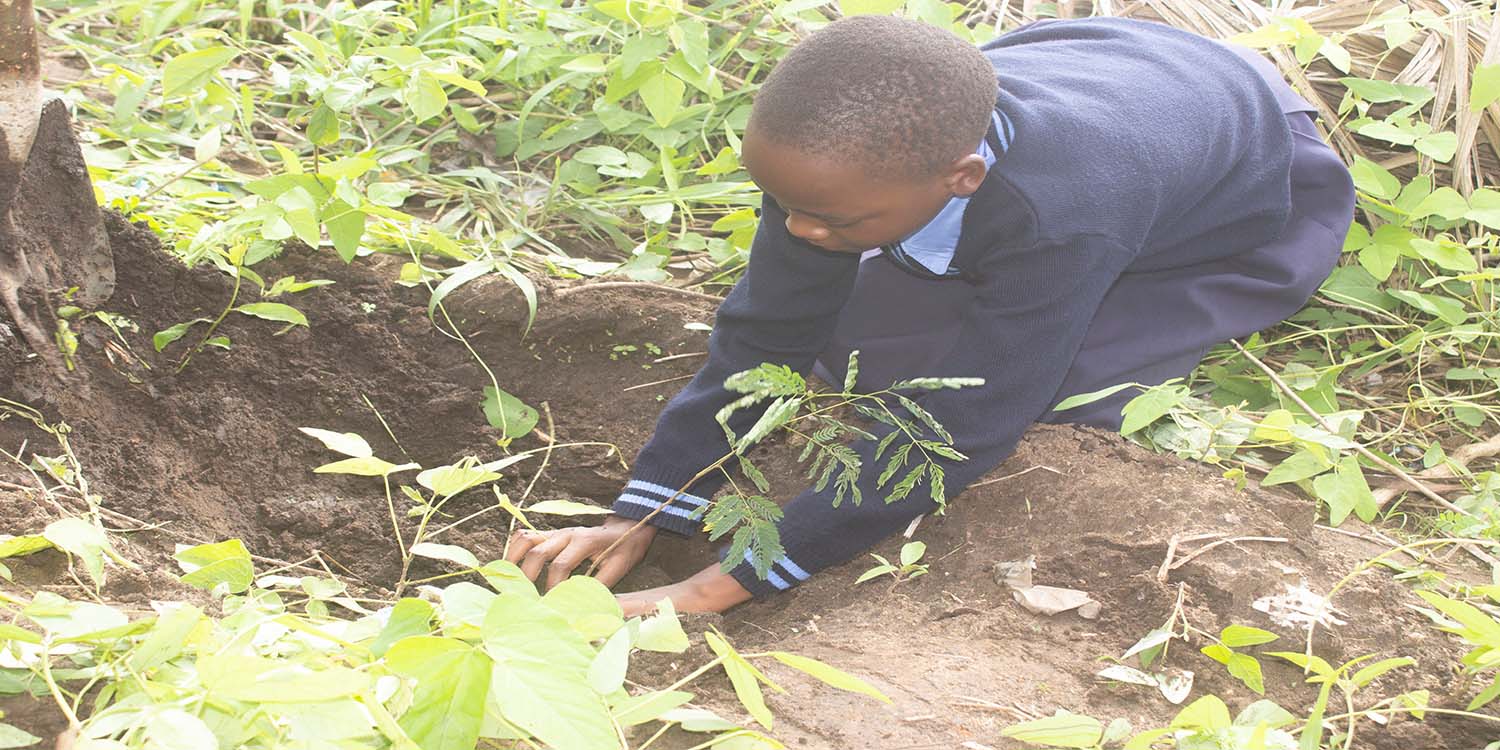 A STUDENT PLANTING A TREE - 2024 TREE PLANTING EVENT